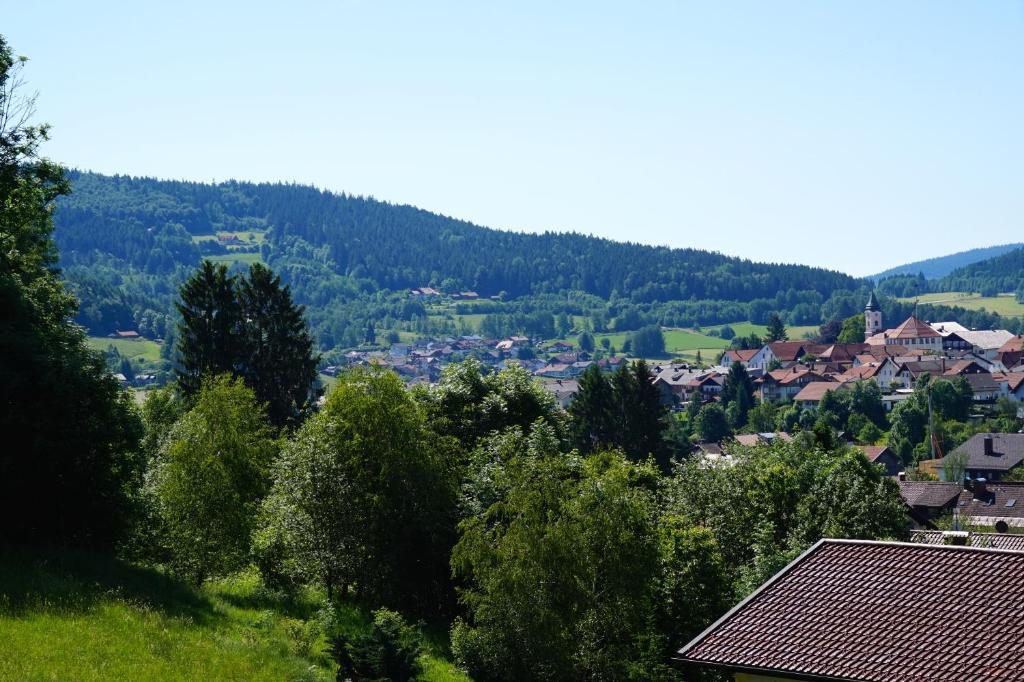 Pension Zur Klause Bodenmais Buitenkant foto