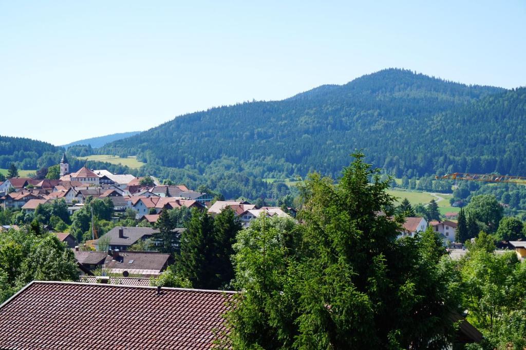 Pension Zur Klause Bodenmais Buitenkant foto