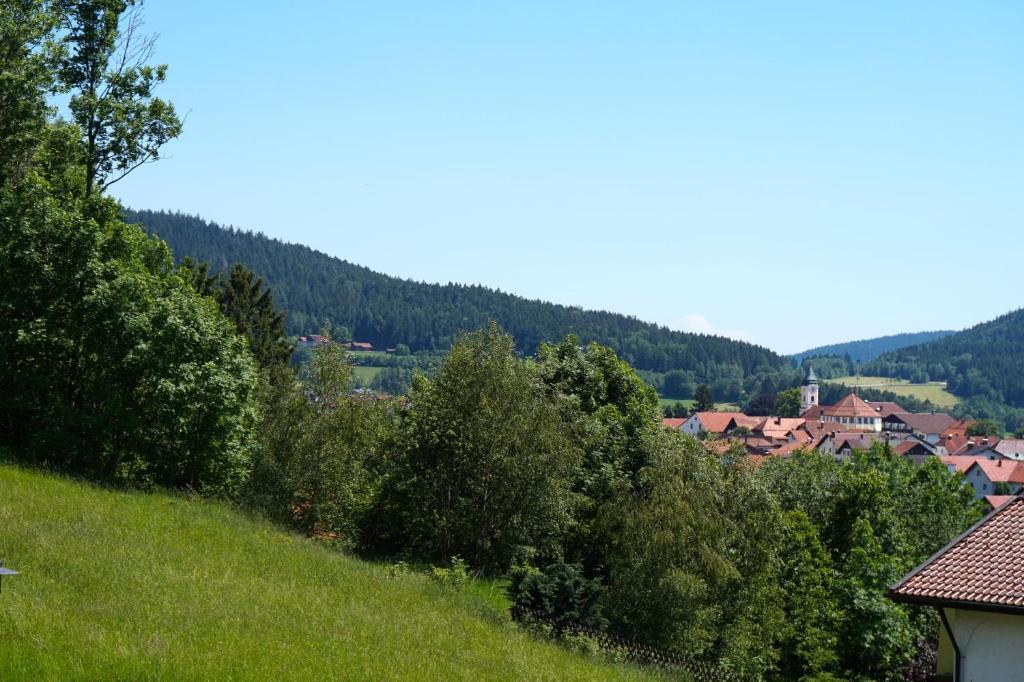Pension Zur Klause Bodenmais Buitenkant foto