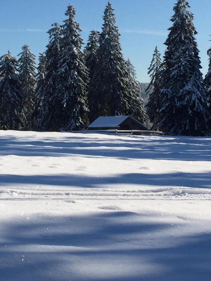 Pension Zur Klause Bodenmais Buitenkant foto